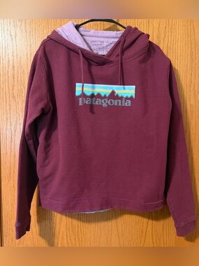 Patagonia Pullover Hoodie Burgundy Maroon Large